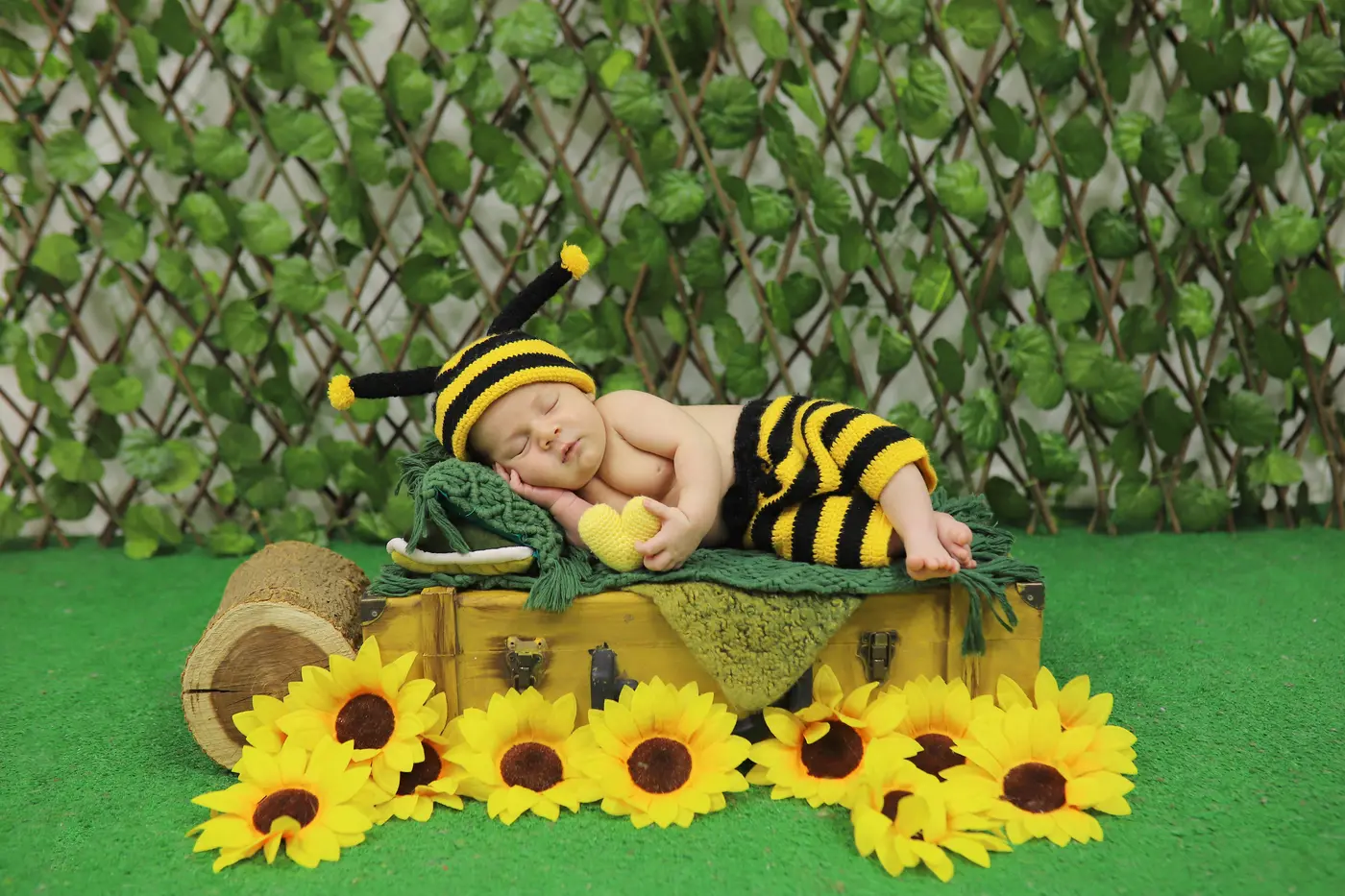 Seren Baby — fotoğraf 3